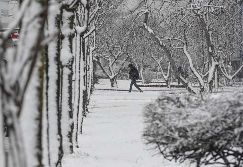Kuvvetli kar yağışı yeniden başlıyor! Günlerce sürecek, sert soğuklar geliyor! Meteoroloji son dakika duyurdu...