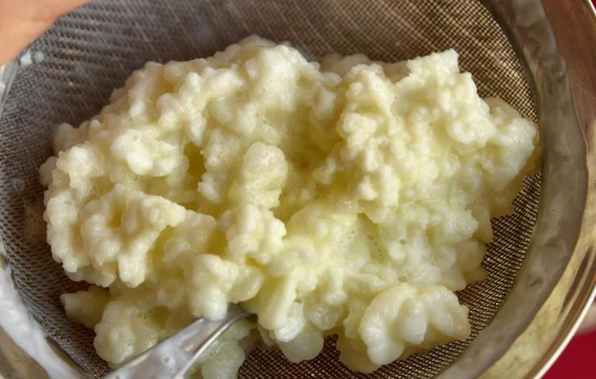 Enfeksiyonla savaşan doğal antibiyotik! Sabahları yemek yeterli, zararlı bakterileri öldürüyor, bağışıklığı güçlendiriyor...