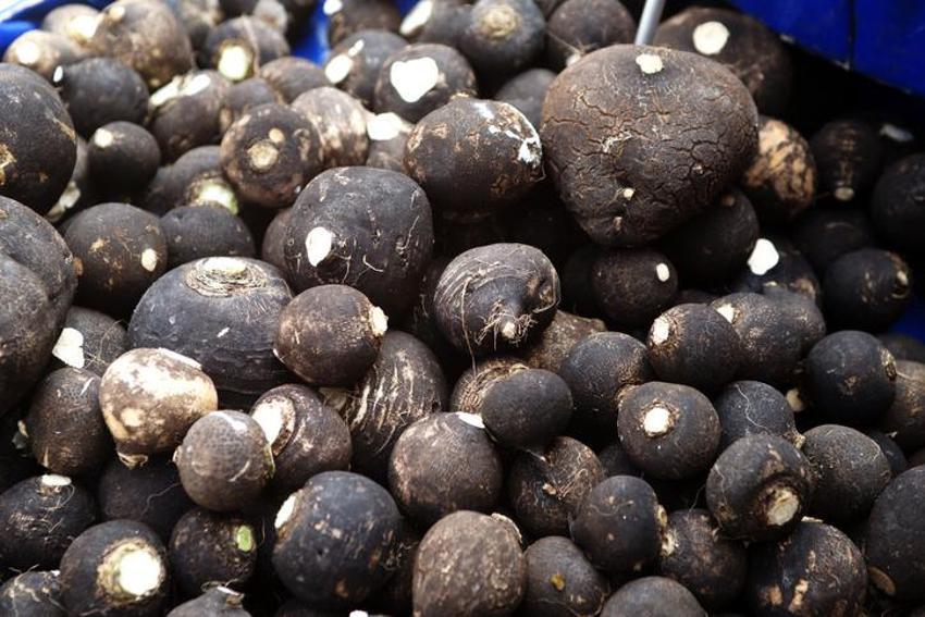 Enfeksiyonla savaşan doğal antibiyotik! Sabahları yemek yeterli, zararlı bakterileri öldürüyor, bağışıklığı güçlendiriyor...