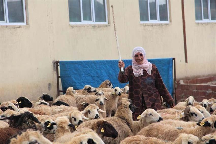 Köye yerleşen 3 çocuk annesi kadın devletten aldığı destekle çiftlik kurdu