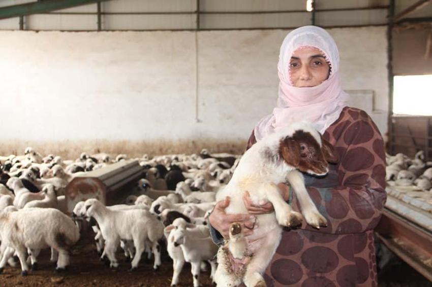 Köye yerleşen 3 çocuk annesi kadın devletten aldığı destekle çiftlik kurdu