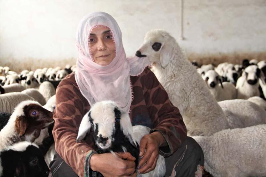 Köye yerleşen 3 çocuk annesi kadın devletten aldığı destekle çiftlik kurdu