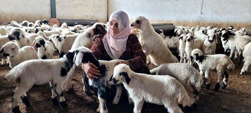 Köye yerleşen 3 çocuk annesi kadın devletten aldığı destekle çiftlik kurdu