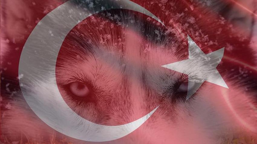 Oğuzlardan Kayılara hangi Türk boyu hangi ilde yaşıyor? İşte geçmişten günümüze Türklerin kurduğu devletler...