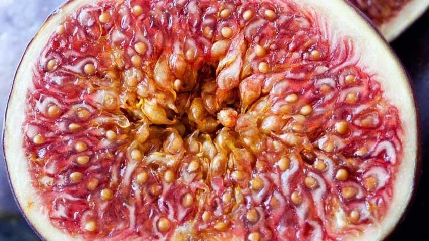 İnsülini dengeliyor, kan basıncını düzenliyor, metabolizmayı hızlandırıyor! Sütü ve yaprağı her derde deva...