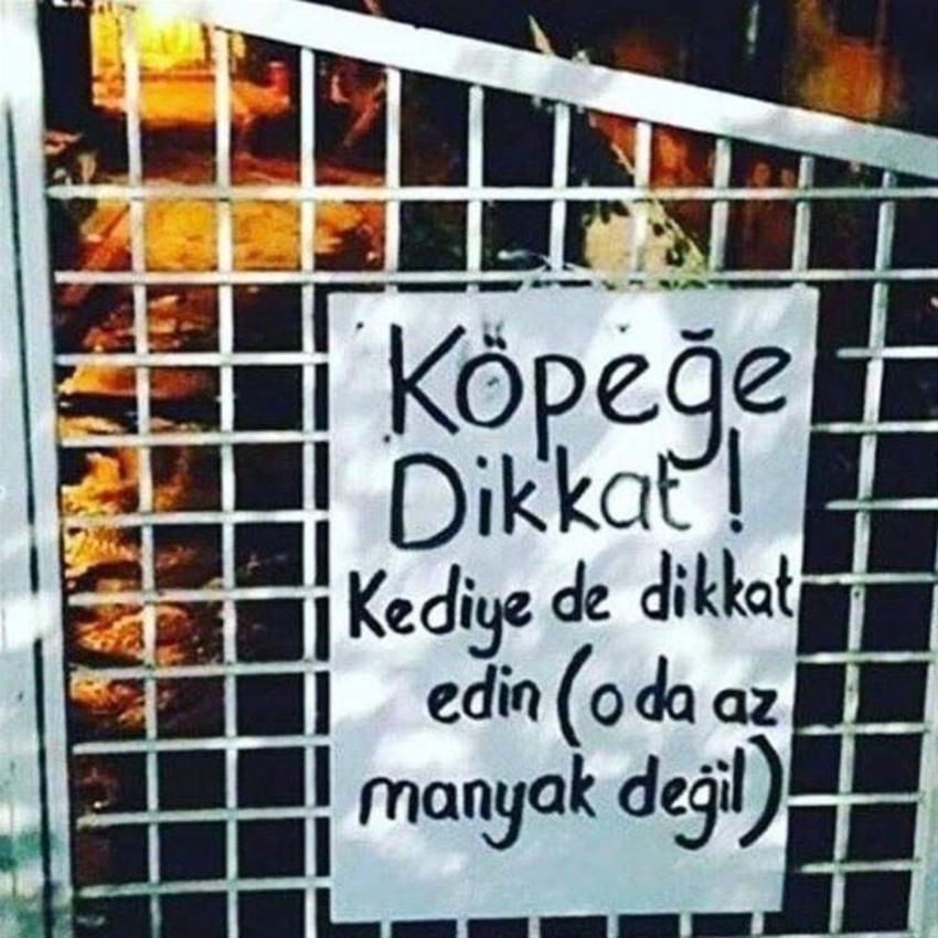 Belediyenin bankı öğrenci evinden çıktı! ‘Head shot’ uyarısına bomba cevap geldi  