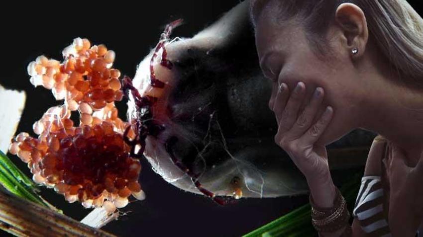 Koronavirüs bitmeden ölümcül yeni bir virüs tespit edildi! Ebola ile aynı ama... 