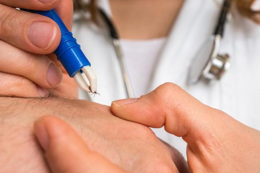 Koronavirüs bitmeden ölümcül yeni bir virüs tespit edildi! Ebola ile aynı ama... 