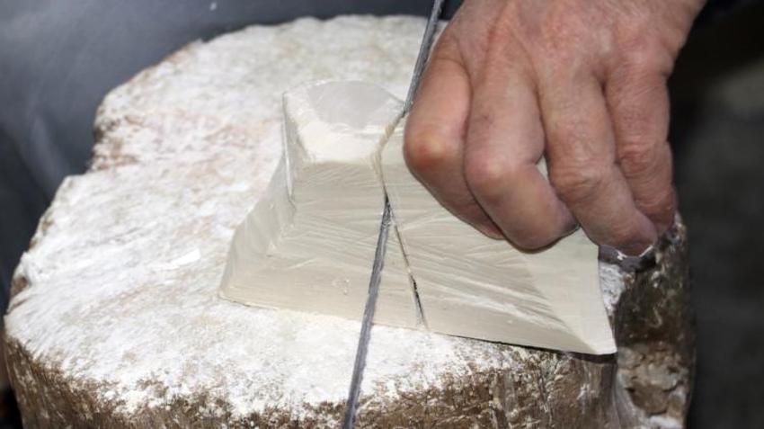 Paraya para demiyorlar! Yıllık 5 milyonlar dolar kazandırıyor! Büyük talep var