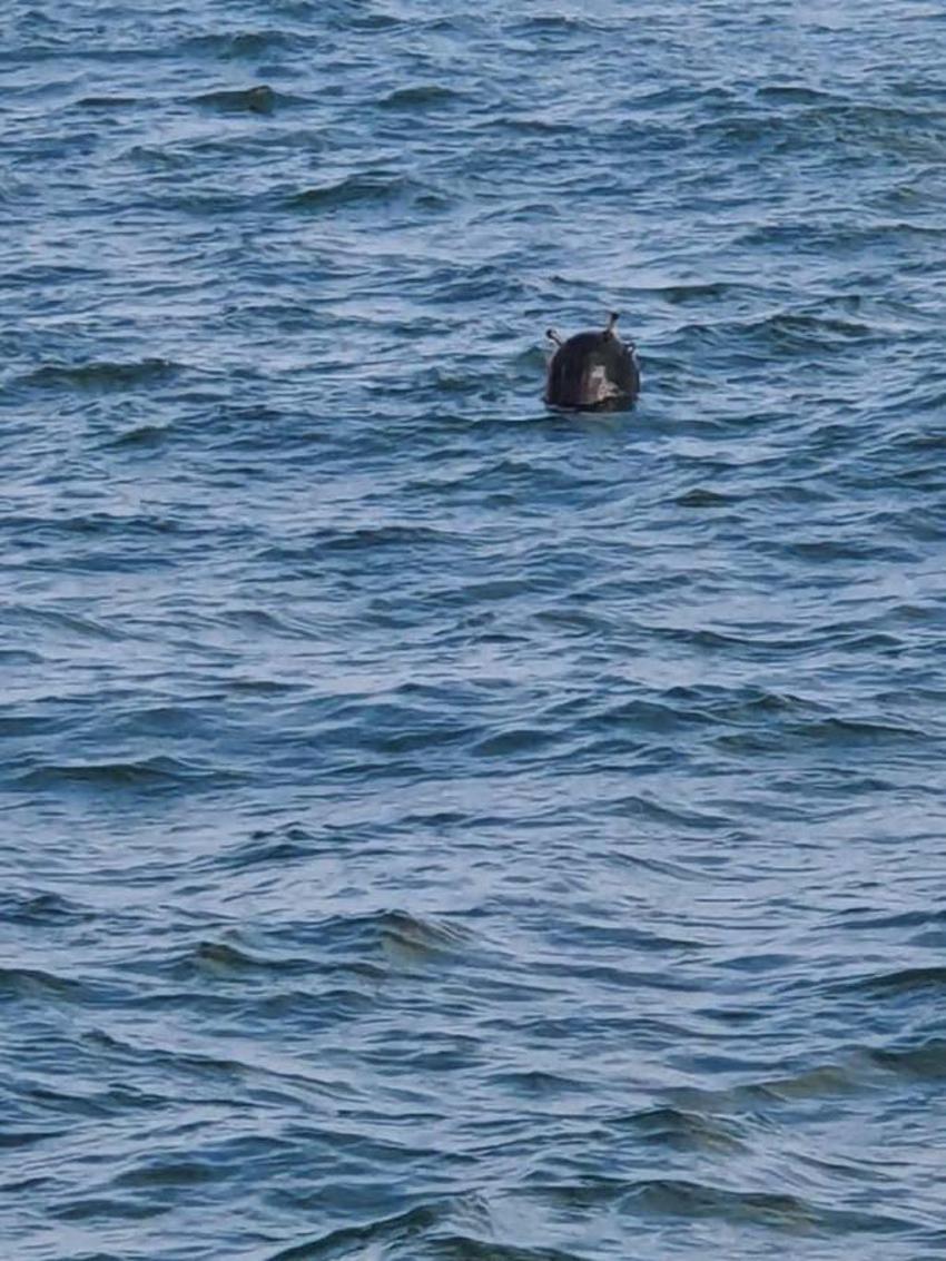 Rusya - Ukrayna savaşında son durum... Moskova ve Kiev'den peş peşe açıklamalar: İstanbul'da bir ilk gerçekleşti...