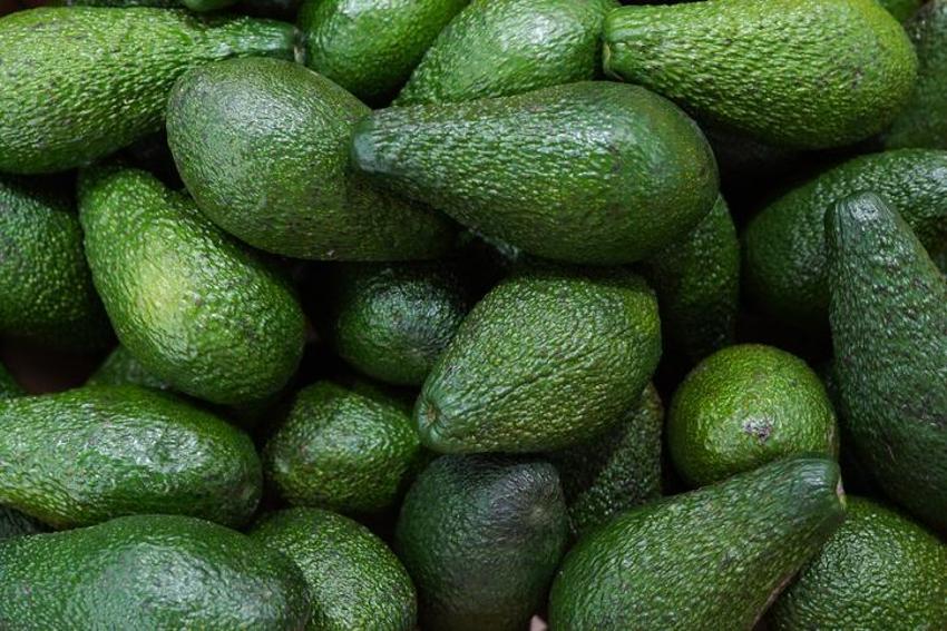 Kalp krizi riskine karşı doğal şifa, tok tutuyor, vitamin deposu! Haftada 1 adet yenilmesi yeterli...