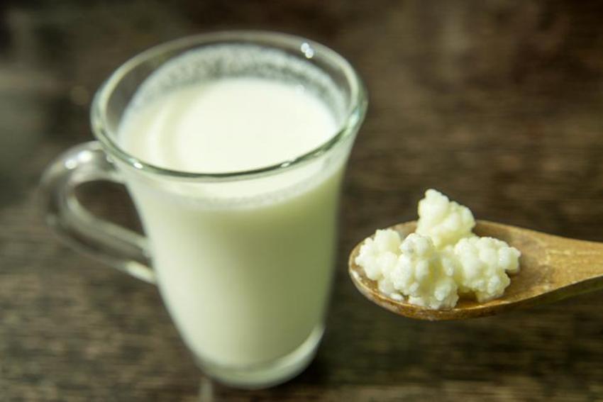 Kan şekerini düşürüyor, susuzluğu gideriyor! Etkili bir doğal probiyotik, günde 1 bardak tüketilirse...