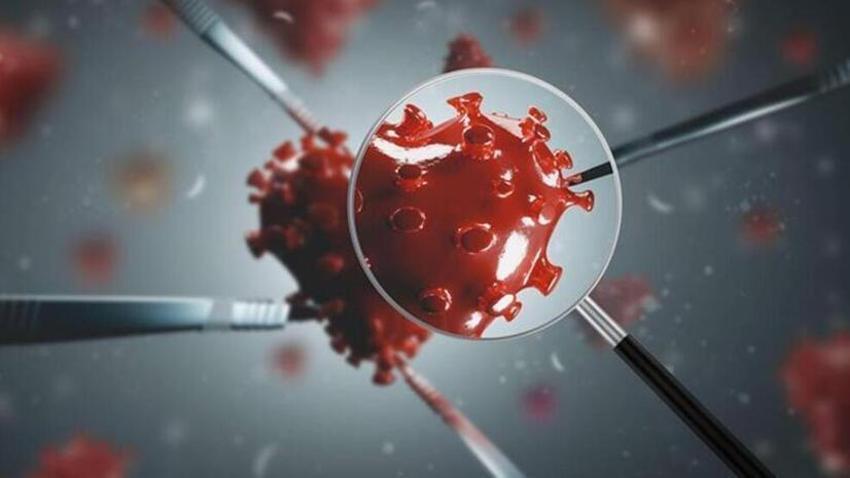 Dünya Sağlık Örgütü'nden koronavirüs ile ilgili korkutan açıklama!