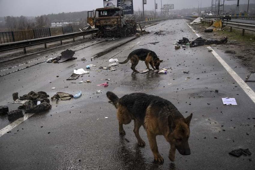 Rusya - Ukrayna savaşıyla ilgili Putin'den yeni hamle! Orduya müdahale etti, büyük değişim!
