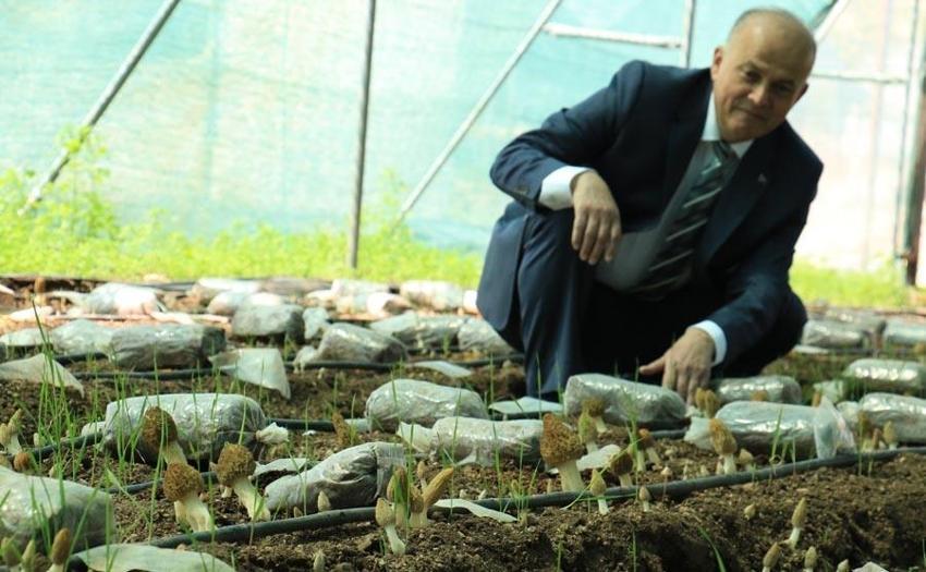 Bu işi yapan köşeyi dönüyor! Türkiye'de ilk! Kilosu 3 bin liradan satılıyor! Müthiş gelir sağlıyor