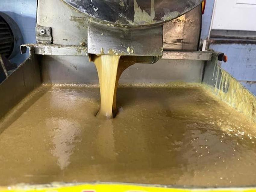 Şişkinlik ve hazımsızlığa çok iyi geliyor, doğal şifa kaynağı! Ramazan'da tüketimi arttı! Bağışıklığı da güçlendiriyor