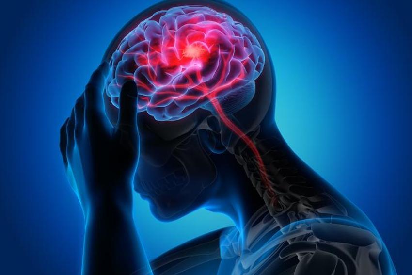 Demans ve alzheimer ile savaşıyor! Hafızayı keskinleştiriyor, beyin sağlığı ve depresyon...  