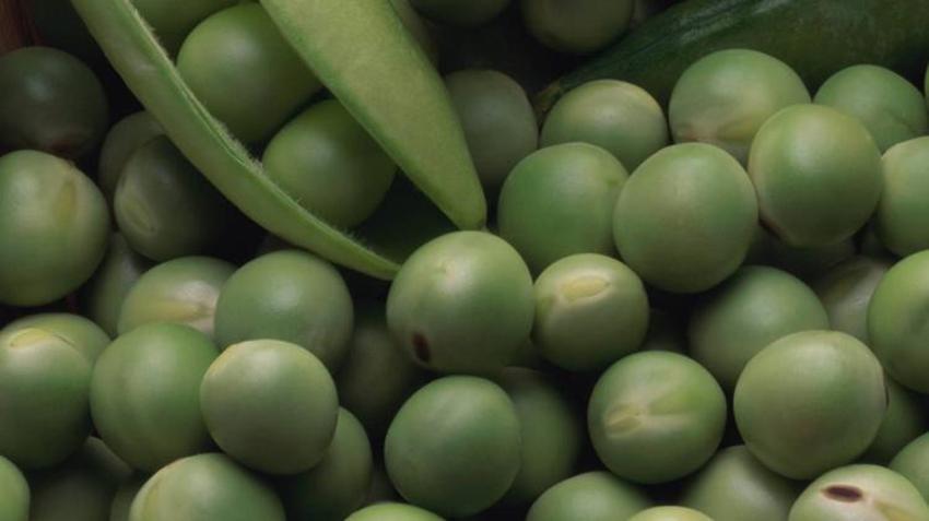 Kolesterol, diyabet, kanser ile savaşıyor! Bir porsiyon yetiyor, tam bir protein deposu! Vegan ve vejetaryenler...  