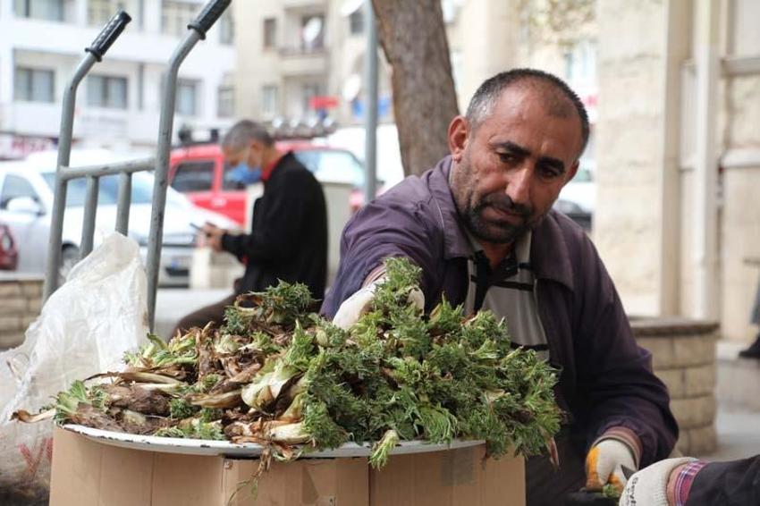 Şeker, tansiyon ve kansere iyi geliyor, bağırsakları temizliyor! Tam bir şifa kaynağı ama... 