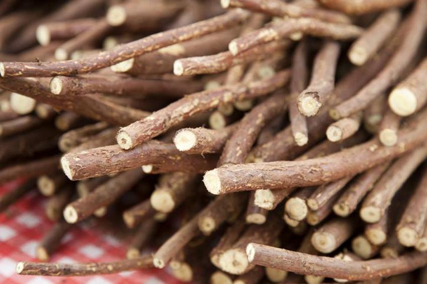Tansiyon ve kolesterolü düşürüyor, vitamin, mineral ve protein deposu! Alzheimer, kalp krizi, kronik hastalıklar...