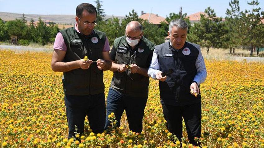 Kuru öksürüğü bıçak gibi kesiyor! Kolesterolü anında düşürüyor, kan basıncını dengeliyor, felç ve yüksek tansiyon için şifa! En fazla iki tatlı kaşığı...