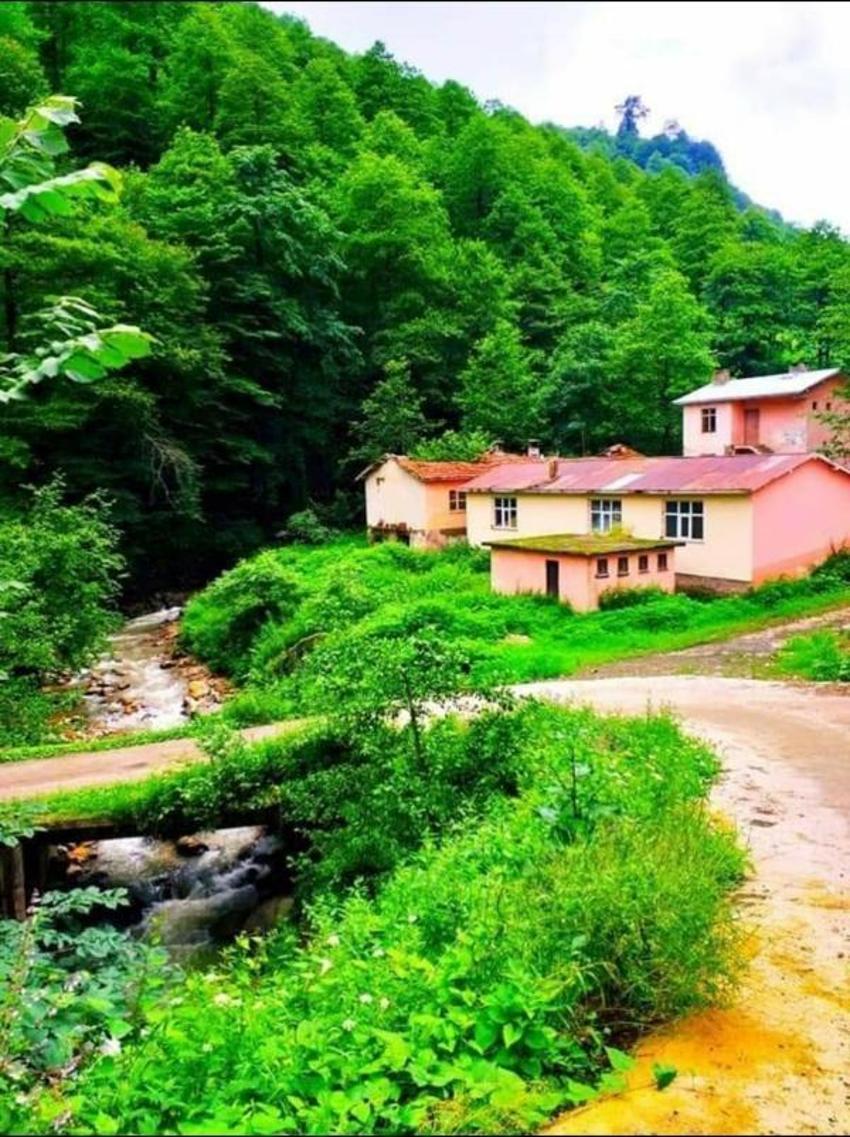 Trabzon'da heyelan; 3 ev toprak altında kaldı