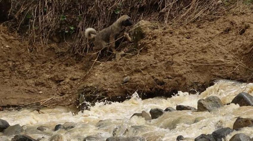 Trabzon'da heyelan; 3 ev toprak altında kaldı