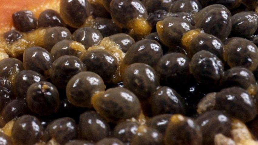 Kan şekerini dengede tutuyor, vitamin, mineral ve antioksidan bakımından çok zengin! Kanser, şeker hastalığı, kolesterol, kalp...