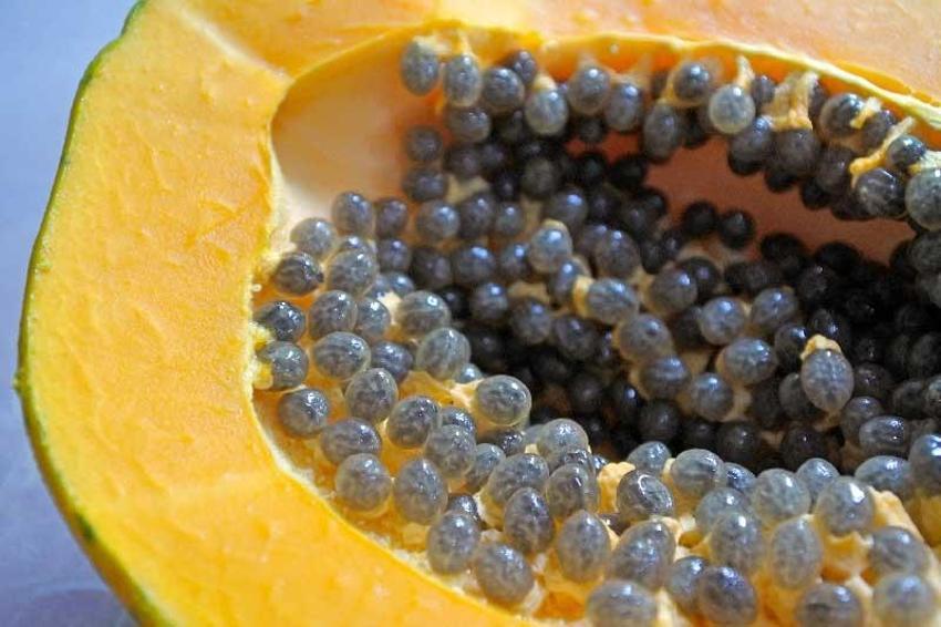 Kan şekerini dengede tutuyor, vitamin, mineral ve antioksidan bakımından çok zengin! Kanser, şeker hastalığı, kolesterol, kalp...