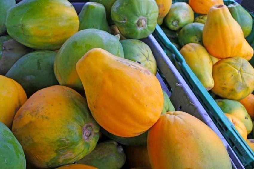Kan şekerini dengede tutuyor, vitamin, mineral ve antioksidan bakımından çok zengin! Kanser, şeker hastalığı, kolesterol, kalp...