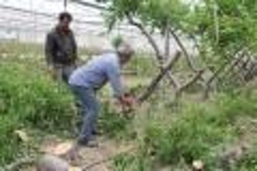Zirai don Mersin’i vurdu, sebze-meyveye ulaşmak hayal oldu