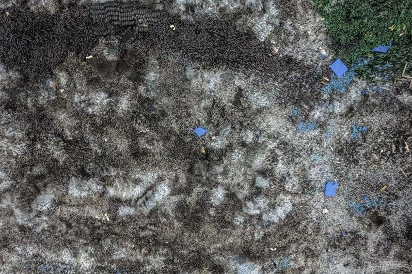 Mariupol'de kritik gelişme! Ukraynalı komutan yardım istedi: Bu son konuşmam olabilir, günlerimiz hatta saatlerimiz kaldı!