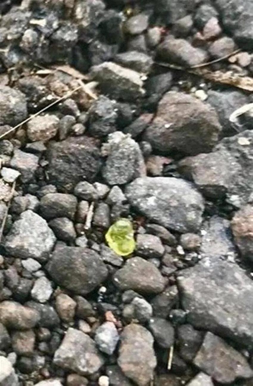 Dev külçe altına paça biçilemiyor! Bahçesinde kaza yaparken hazine buldu! 