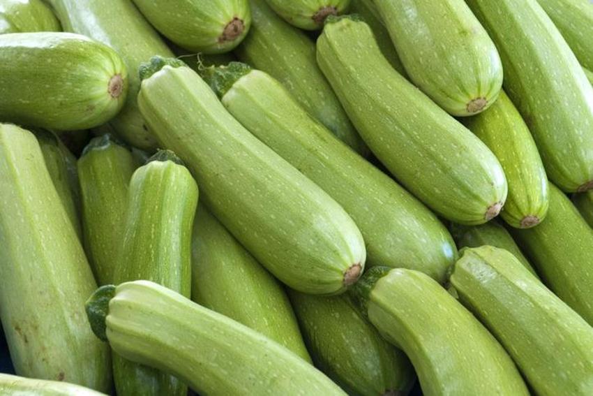 Kısa sürede kilo verdiriyor, iştahı bıçak gibi kesiyor, metabolizmayı hızlandırıyor! Vücuttaki yağları 1 ayda yok ediyor...