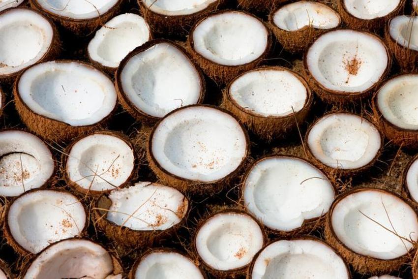 Kısa sürede kilo verdiriyor, iştahı bıçak gibi kesiyor, metabolizmayı hızlandırıyor! Vücuttaki yağları 1 ayda yok ediyor...
