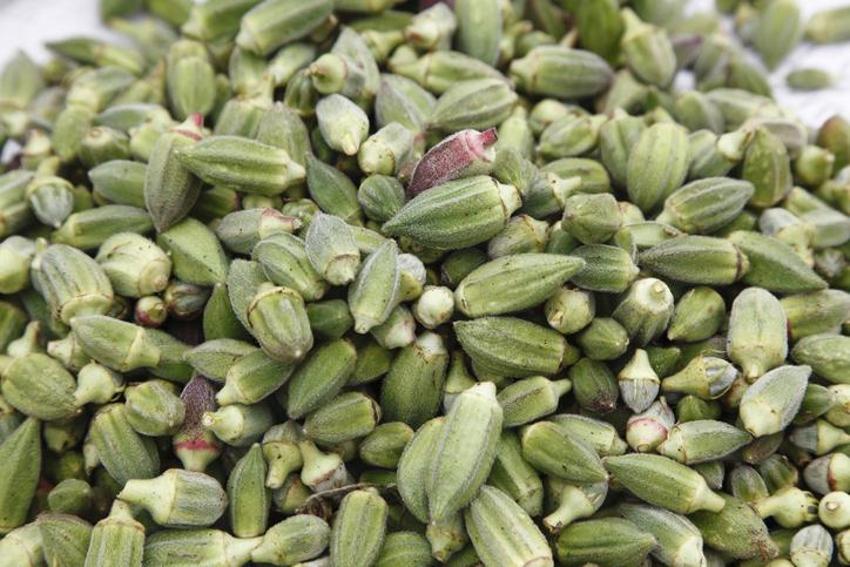 Kısa sürede kilo verdiriyor, iştahı bıçak gibi kesiyor, metabolizmayı hızlandırıyor! Vücuttaki yağları 1 ayda yok ediyor...