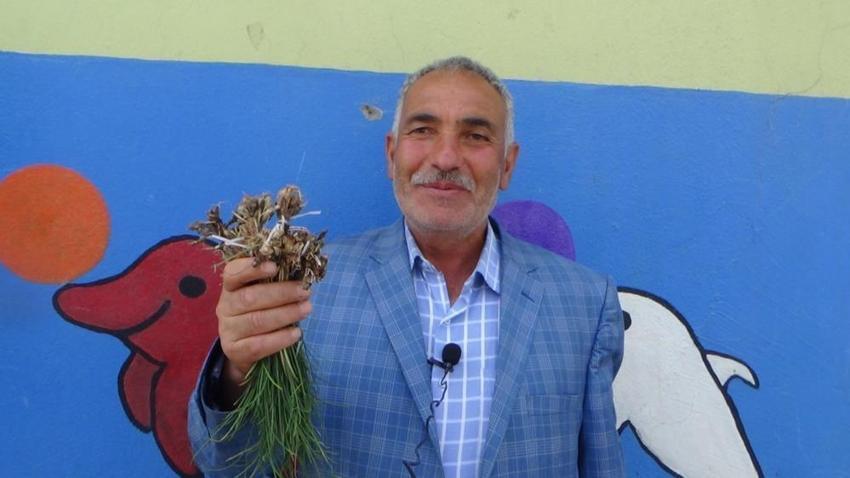 Kilosu 1000 TL, resmen yok satıyor! Birçok hastalığa iyi geliyor, yetişmesi 1 ay sürüyor...
