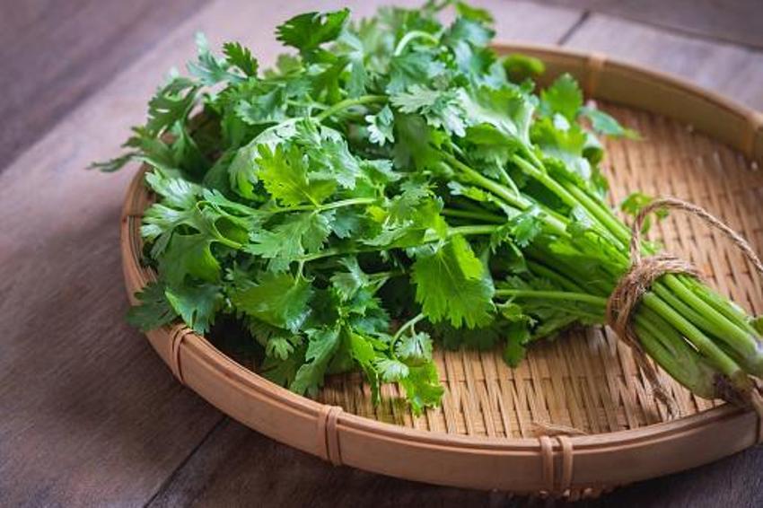 Tip 2 diyabet, kolon kanseri, yüksek tansiyon, alerji ve iltihaplı hastalıklar için şifa! Günde sadece bir tutam yeterli, K, A ve C vitamini...