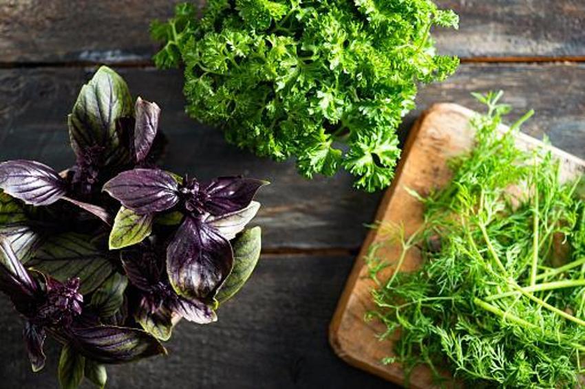 Tip 2 diyabet, kolon kanseri, yüksek tansiyon, alerji ve iltihaplı hastalıklar için şifa! Günde sadece bir tutam yeterli, K, A ve C vitamini...