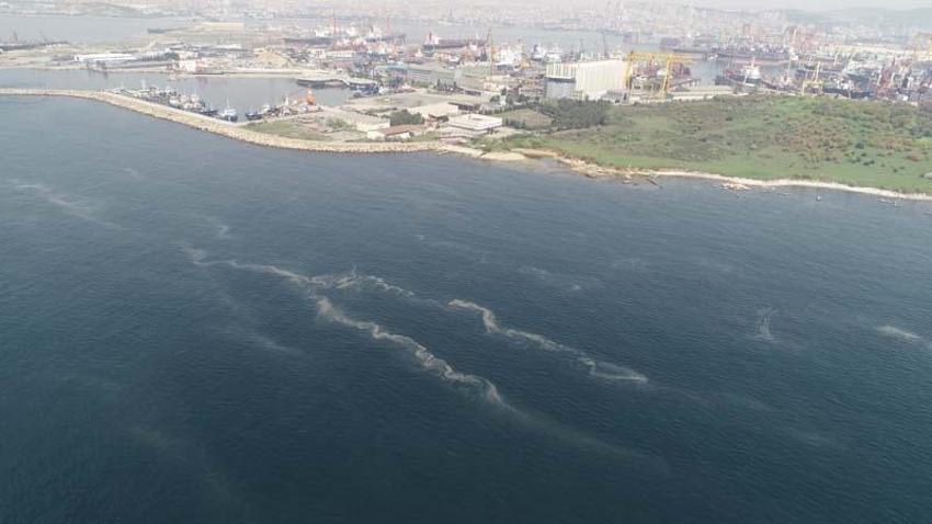 Korkutan görüntü; müsilaj her geçen dakika artıyor