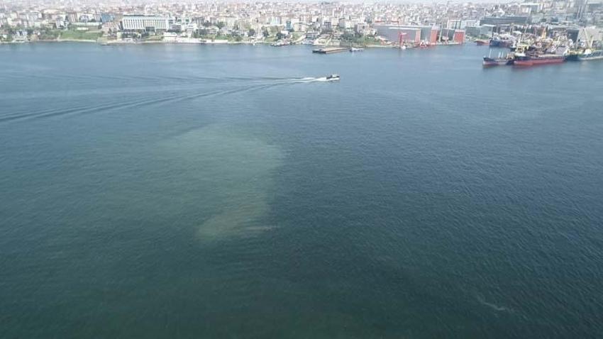 Korkutan görüntü; müsilaj her geçen dakika artıyor
