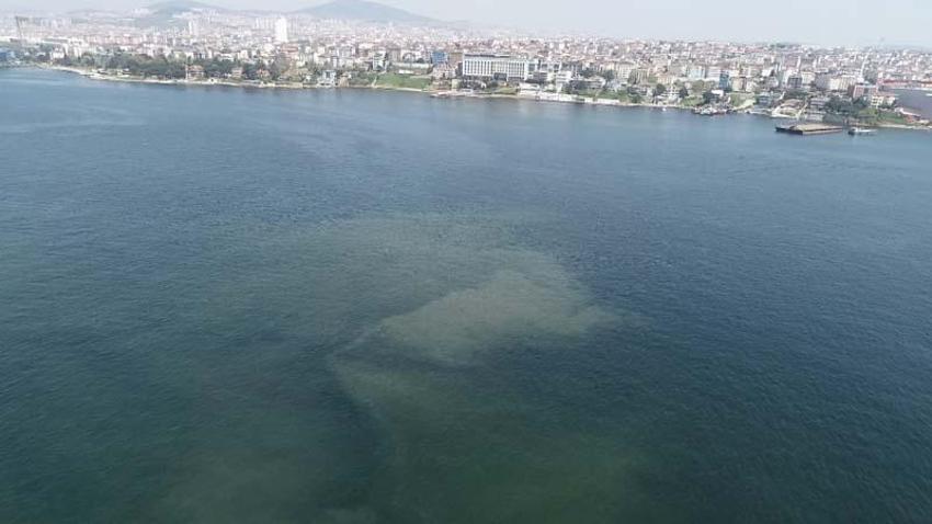 Korkutan görüntü; müsilaj her geçen dakika artıyor