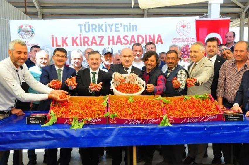 Manisa'da sezonun ilk kirazı 700 TL'den satıldı