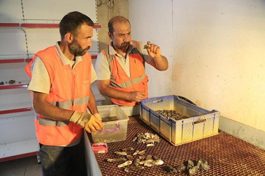 Dolarlar Türkiye'ye yağacak! 50 milyar dolarlık rezerv! Toprağın altı kaynıyor