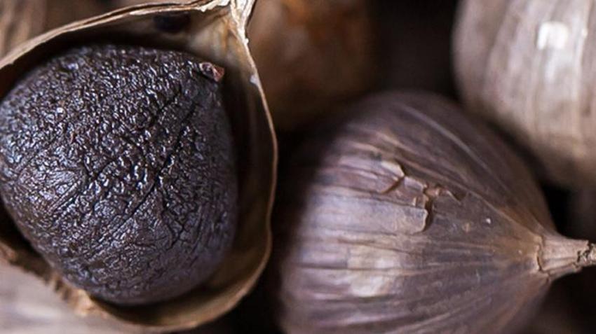 Alzheimer, kanser, diyabet, tansiyon, kolesterole karşı savaşçı, beyazından 2 kat daha fazla etkili! Mısır piramitlerinin sırrı olarak da biliniyor...