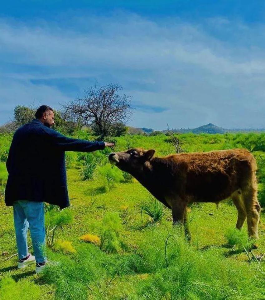 Bodrum'dan 4 dönüm arsa alan Tan Taşçı kolladı sıvadı!