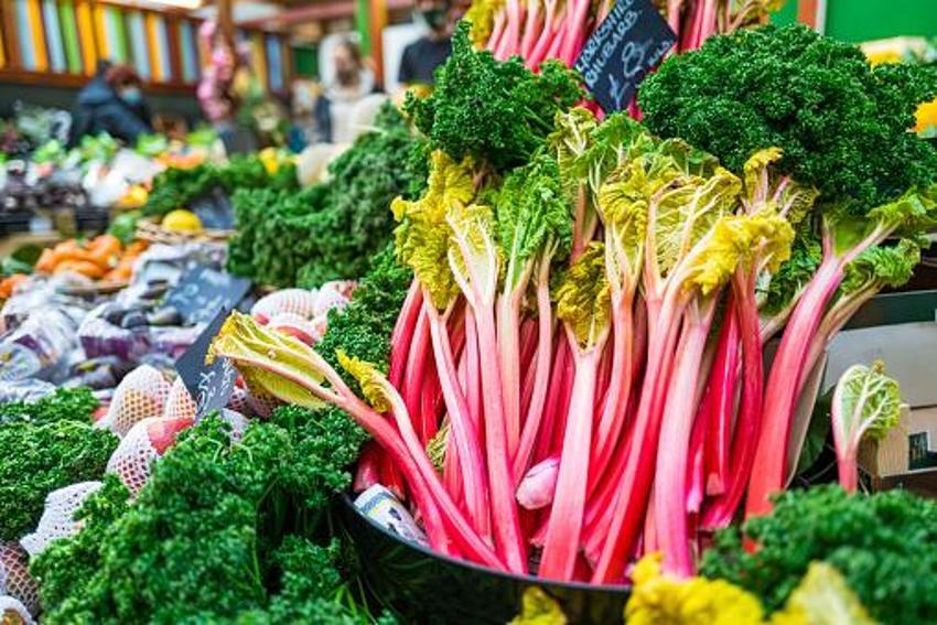 Kanser hastalığının yeni ilacı, şeker ve tansiyon şifası! Mide bulantısını ve hazımsızlığı anında bitiriyor, A, B1, B2, E, ve K vitaminleri...