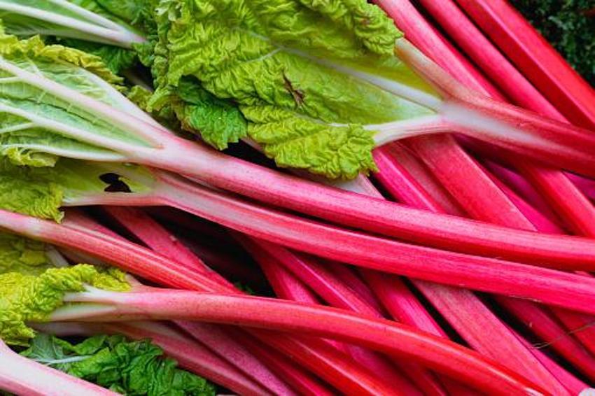 Kanser hastalığının yeni ilacı, şeker ve tansiyon şifası! Mide bulantısını ve hazımsızlığı anında bitiriyor, A, B1, B2, E, ve K vitaminleri...