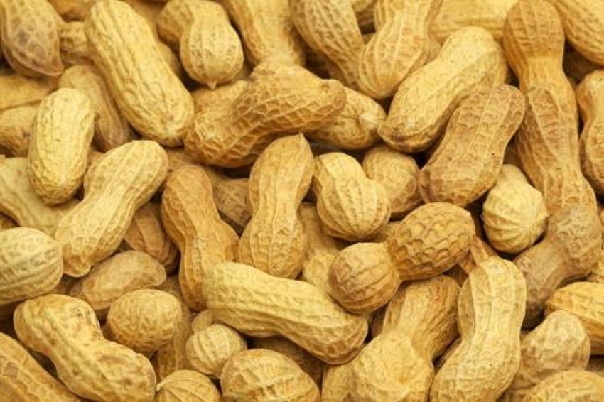 Gençlik iksiri! Günde sadece bir bardağı kalbi 20 yaş gençleştiriyor