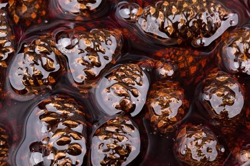 Astım ve bronşit için doğal şifa! İltihap ve enfeksiyon ile savaşıyor, öksürük önleyici, balgam söktürücü... Günde iki kaşığı yetiyor, C, K, B vitaminleri...